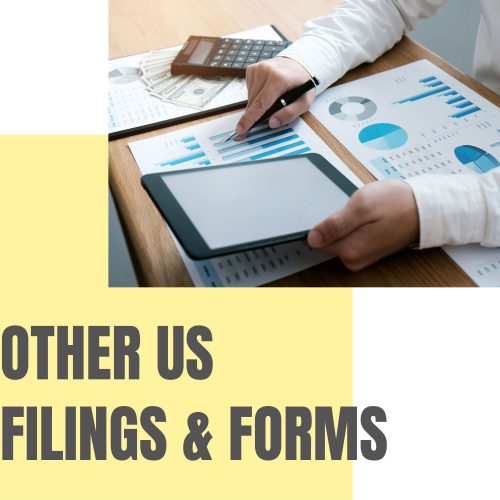 ACCOUNTING_SERVICES_OTHER_FORMS